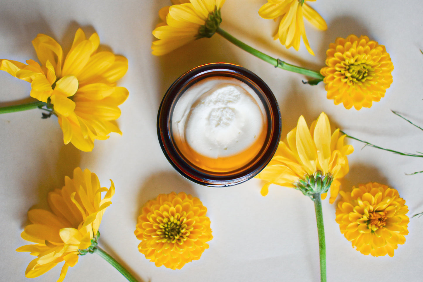 Daisy Bloom Whipped Tallow Balm